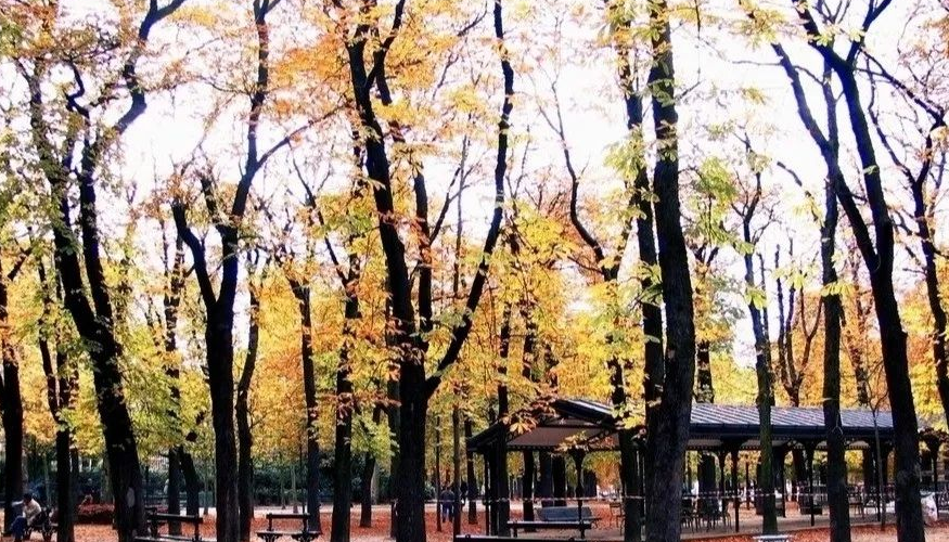 1708752546917739.png image.png
