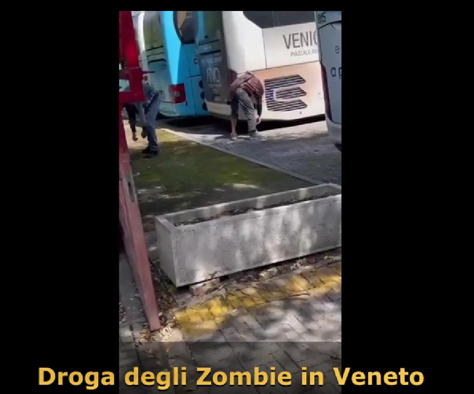 0876dda7428ef68b28e26ccfbd17eeec.png