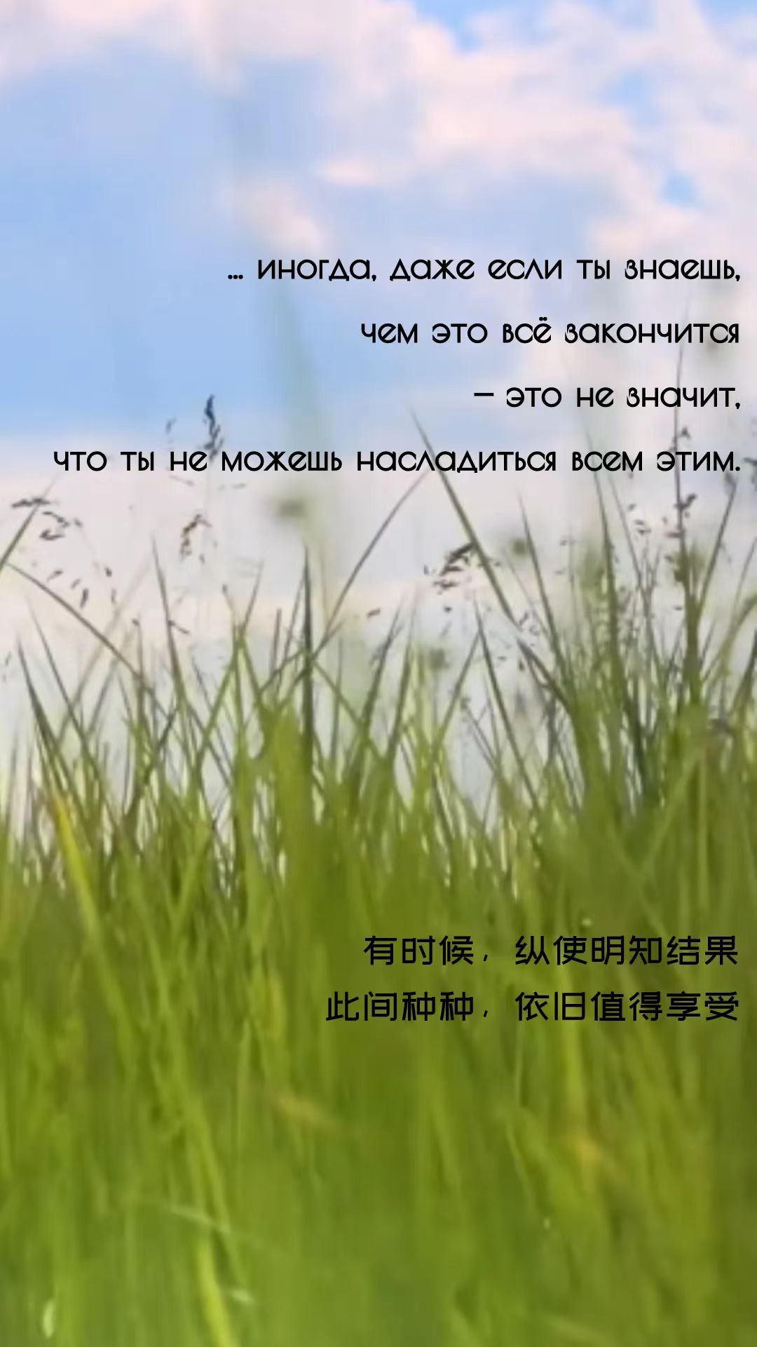 6d2b98bad22486fb72a7c90a7be4a4b.jpg