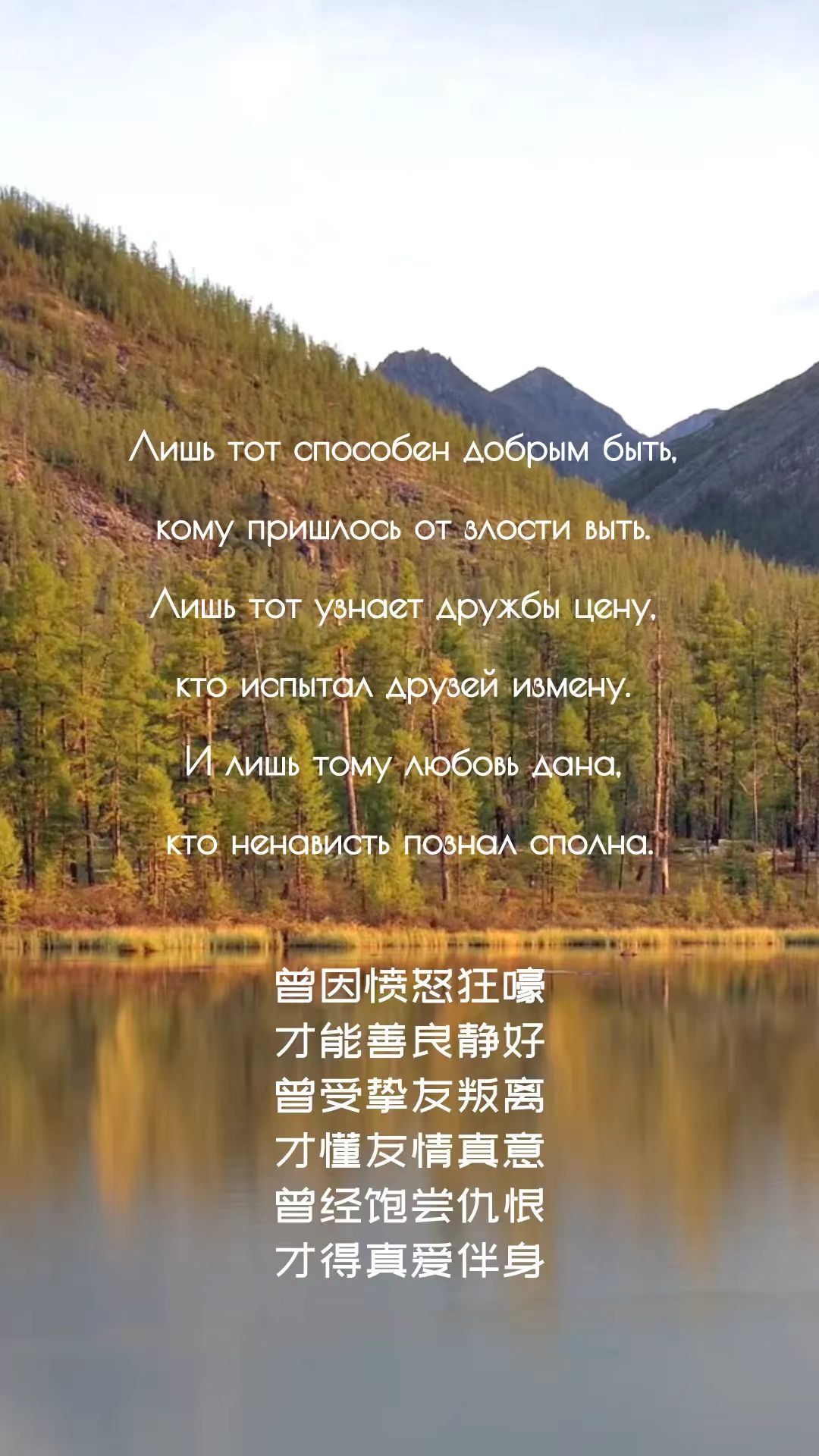 cbbc76af3f4ff065a060c16522641b0.jpg