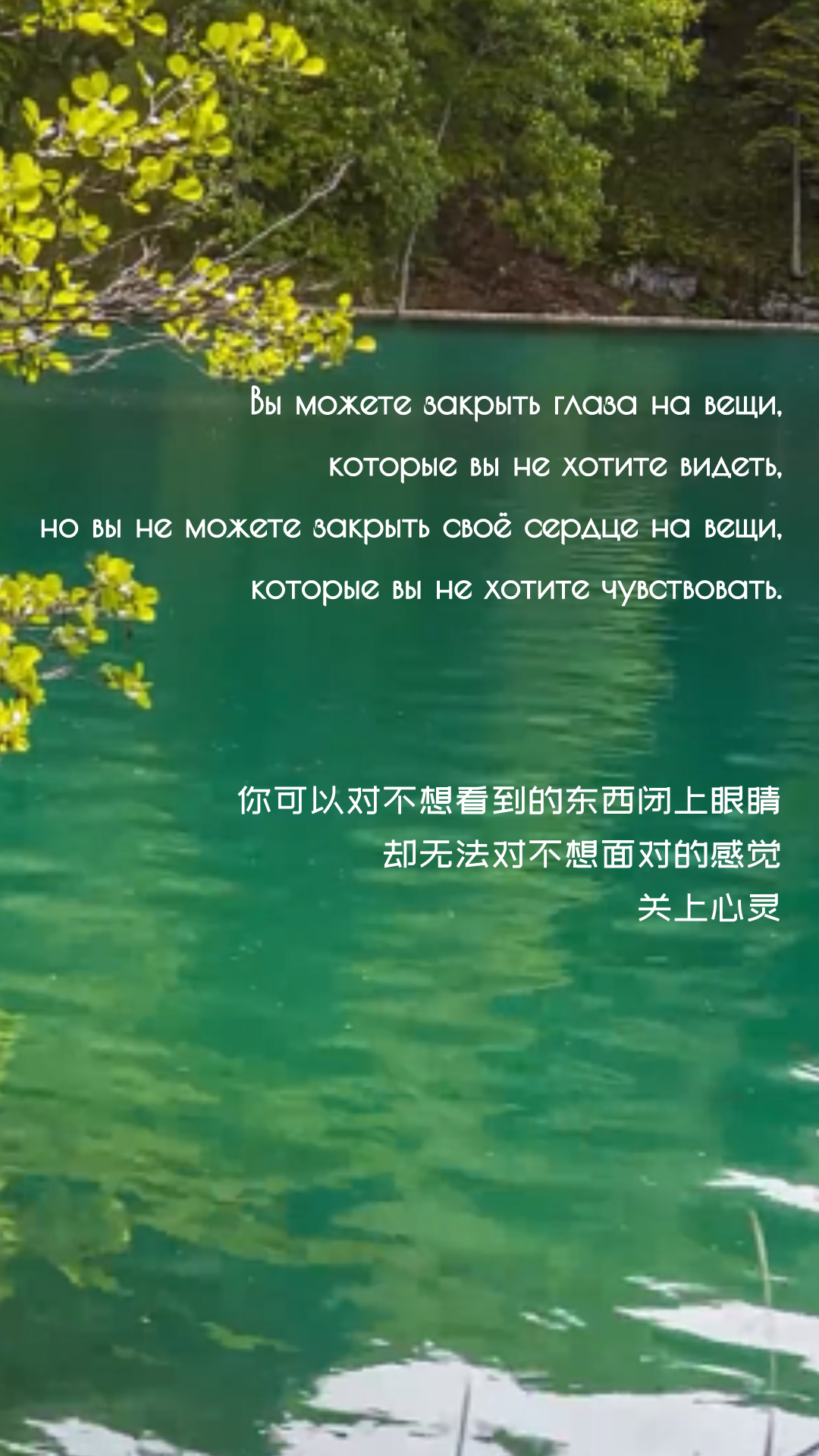 1723427544834985.png dbee6a918bf33046c404d55dc44374da.png