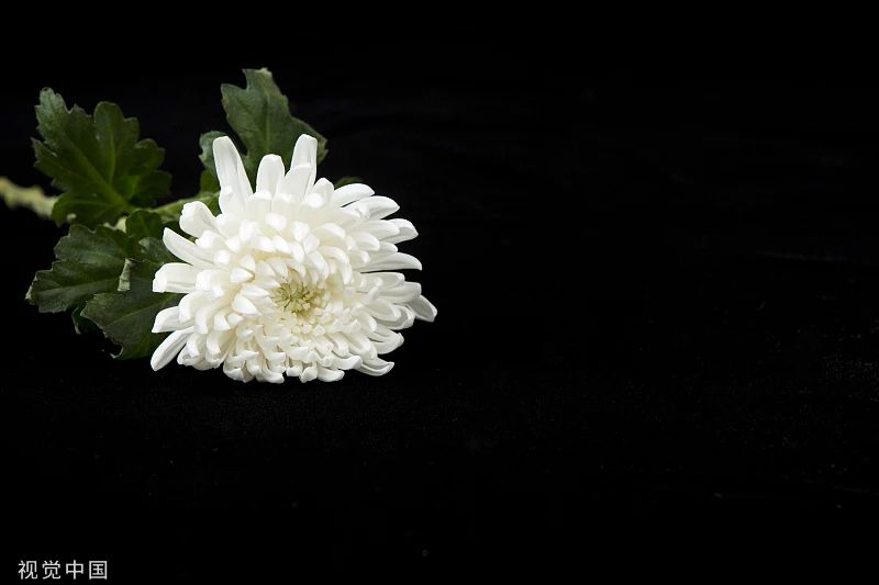 33e638737adc8894a28fb5b26855b39c.jpg