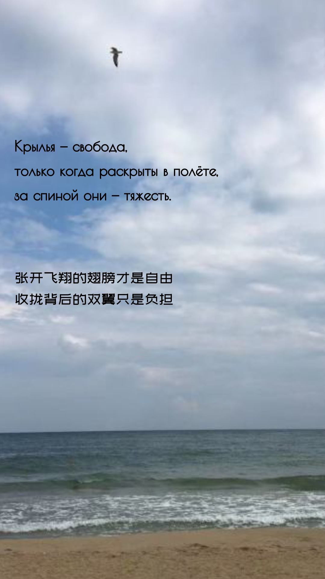 9c3378b1c208f82c7b57ca75ed770707.png