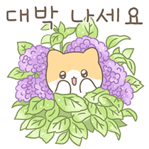 a75f13d23cfd366d5b1436e826c0c40f.png